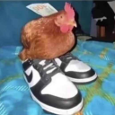 DasMoorhuhn
